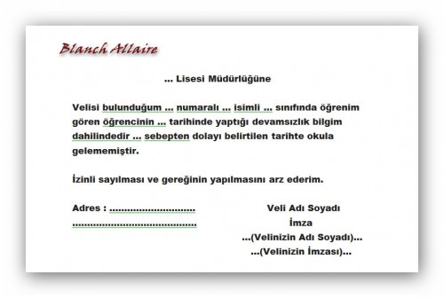 veli-izin-dilekcesi.jpg