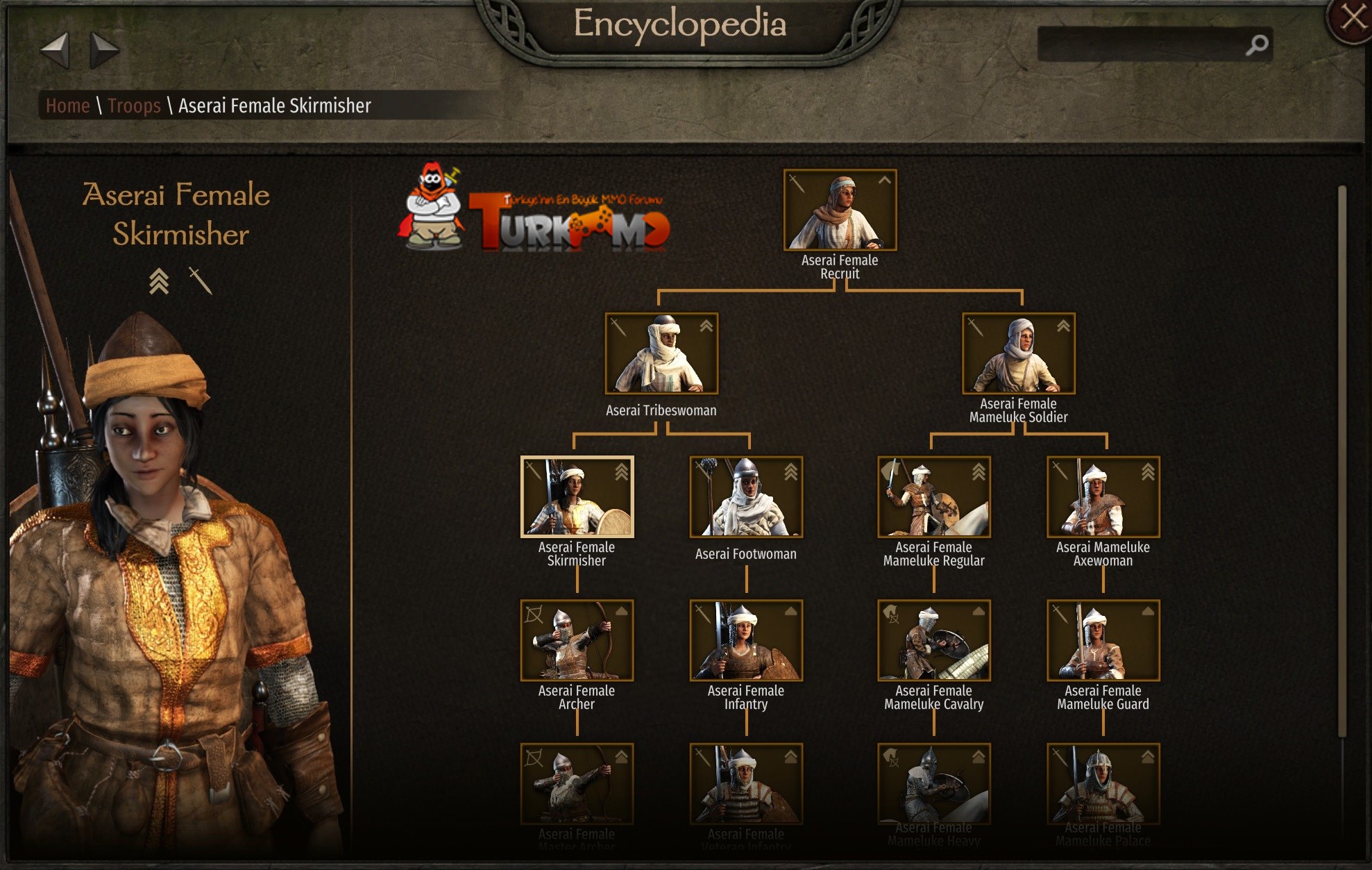 bannerlord-kadin-asker-mod.jpg