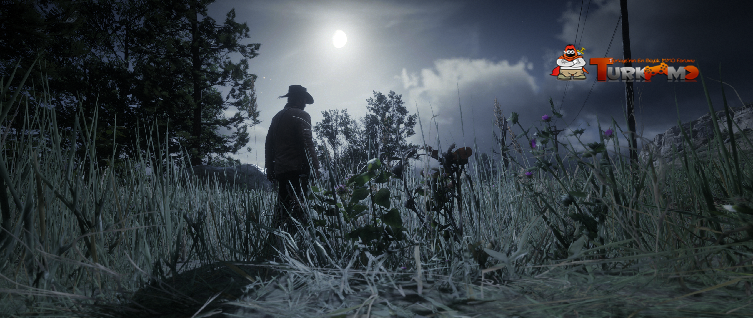 read-dead-redemption-2-modlari-indir-turkmmo-turkce.png
