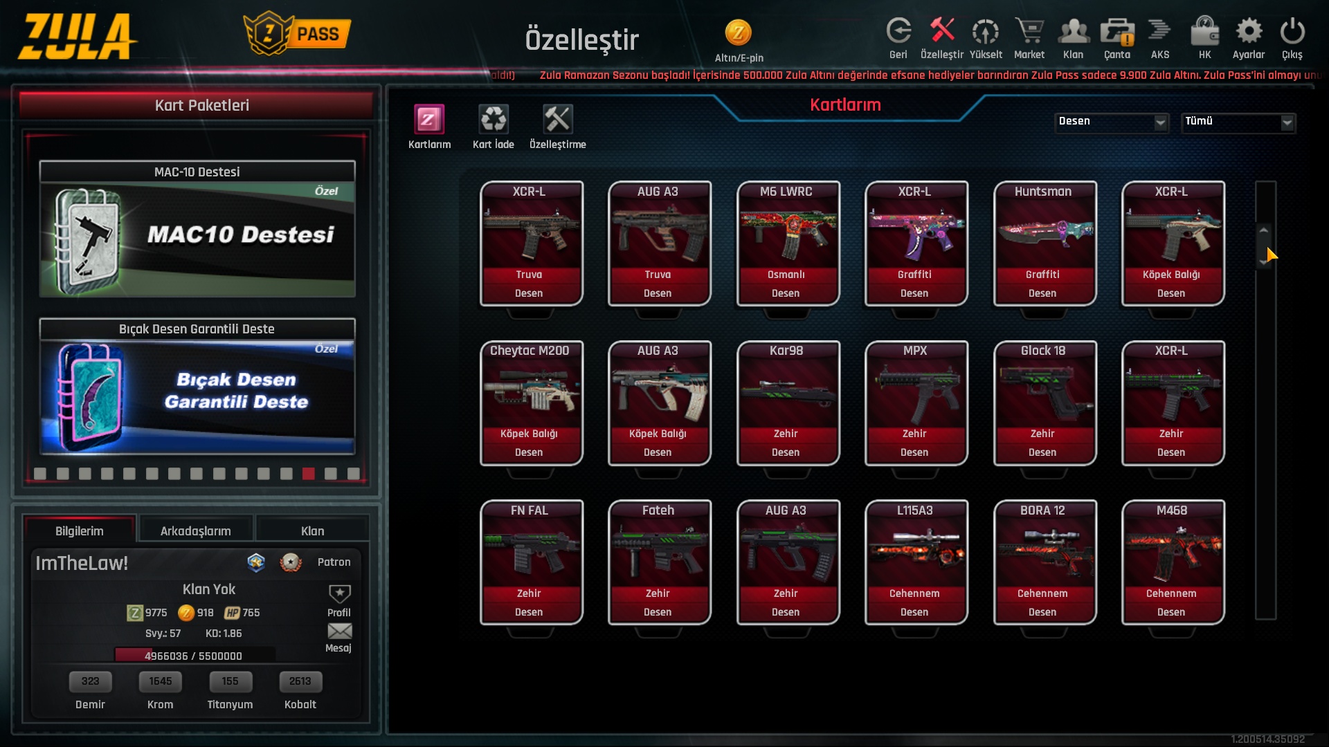 desen3.jpg