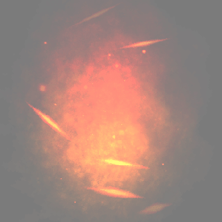 02c79d5e-31e4-4908-a92d-2576958391c3.gif