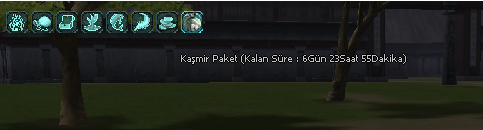 kasmir.png