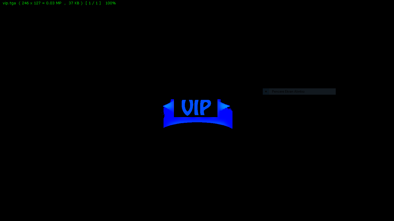Vip.png