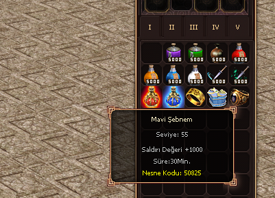 sebnem1.png