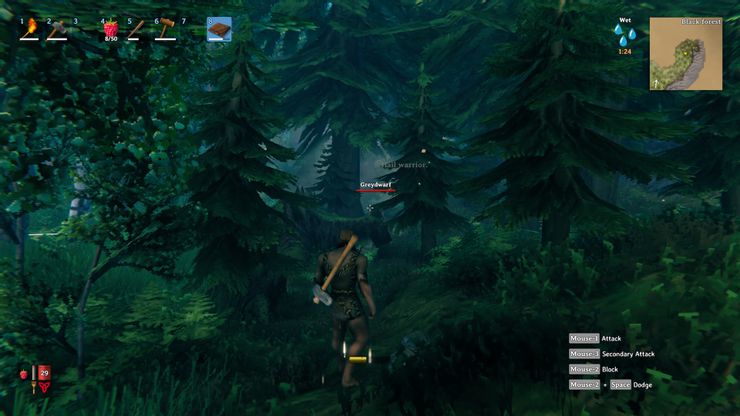 The-Black-Forest-Valheim.jpg