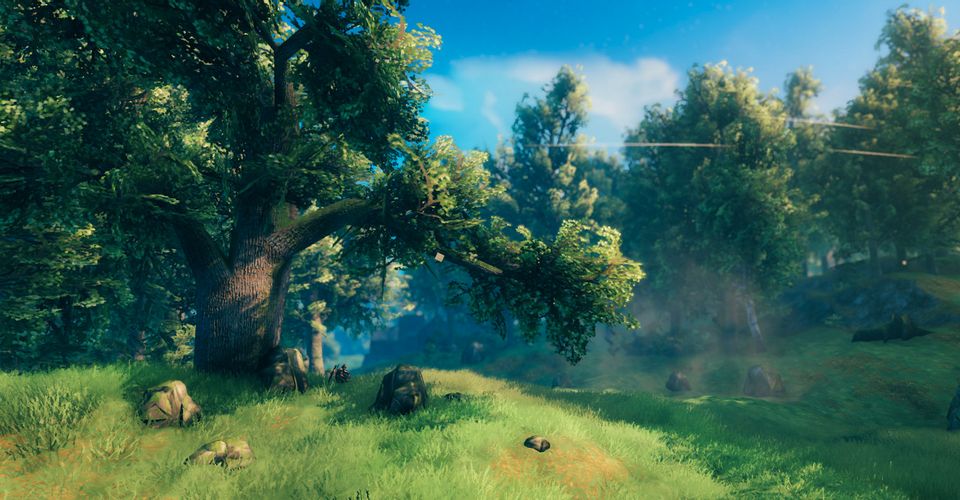 valheim-trees.jpg