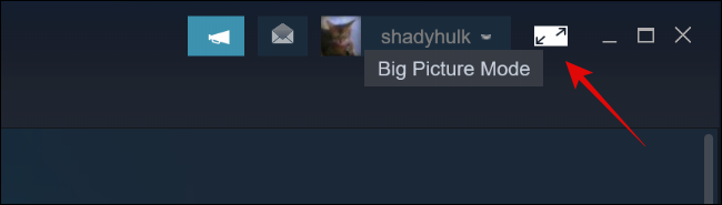 Steam'de Büyük Resim Modu Düğmesine tıklayın