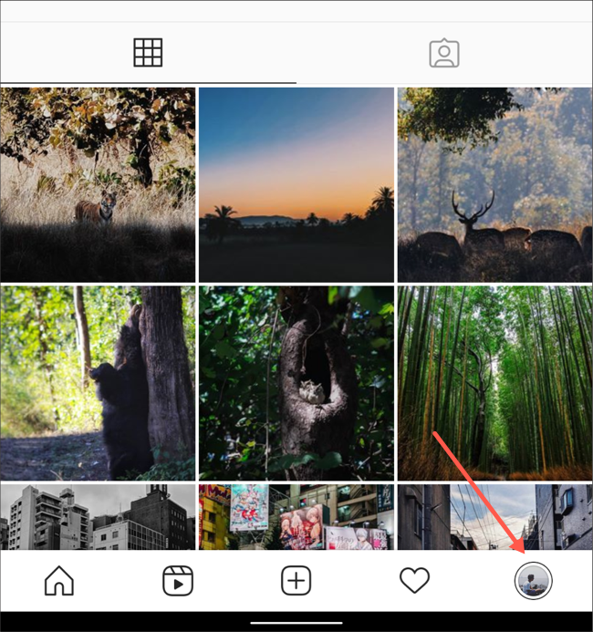 Instagram uygulamasında profil sekmesini ziyaret edin