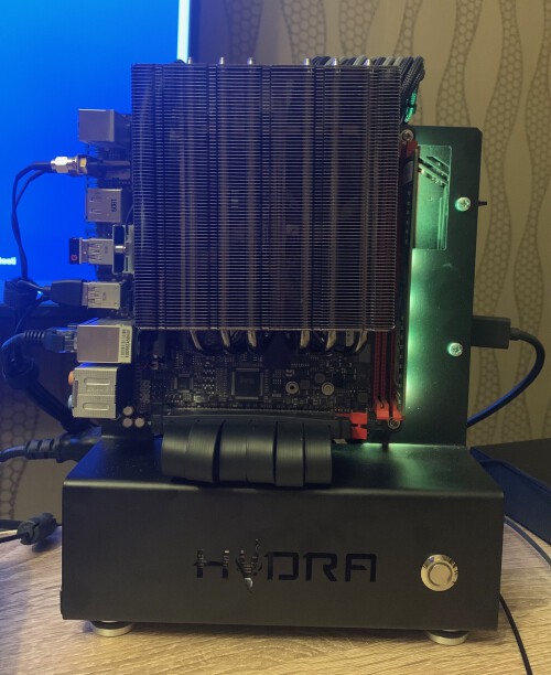 hydra