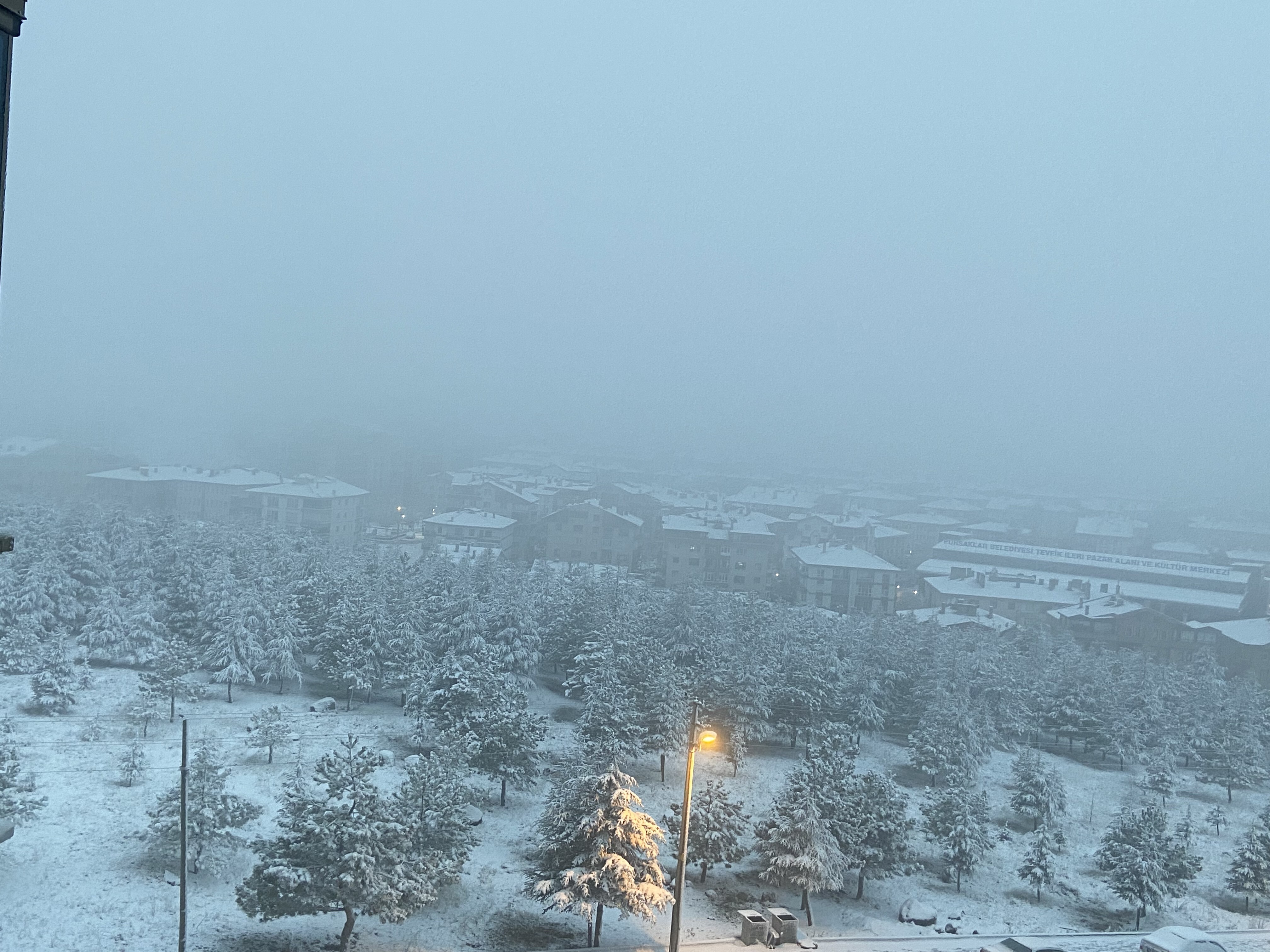 F6B80D38-EE43-4994-B645-FAABFBA8981C.jpg