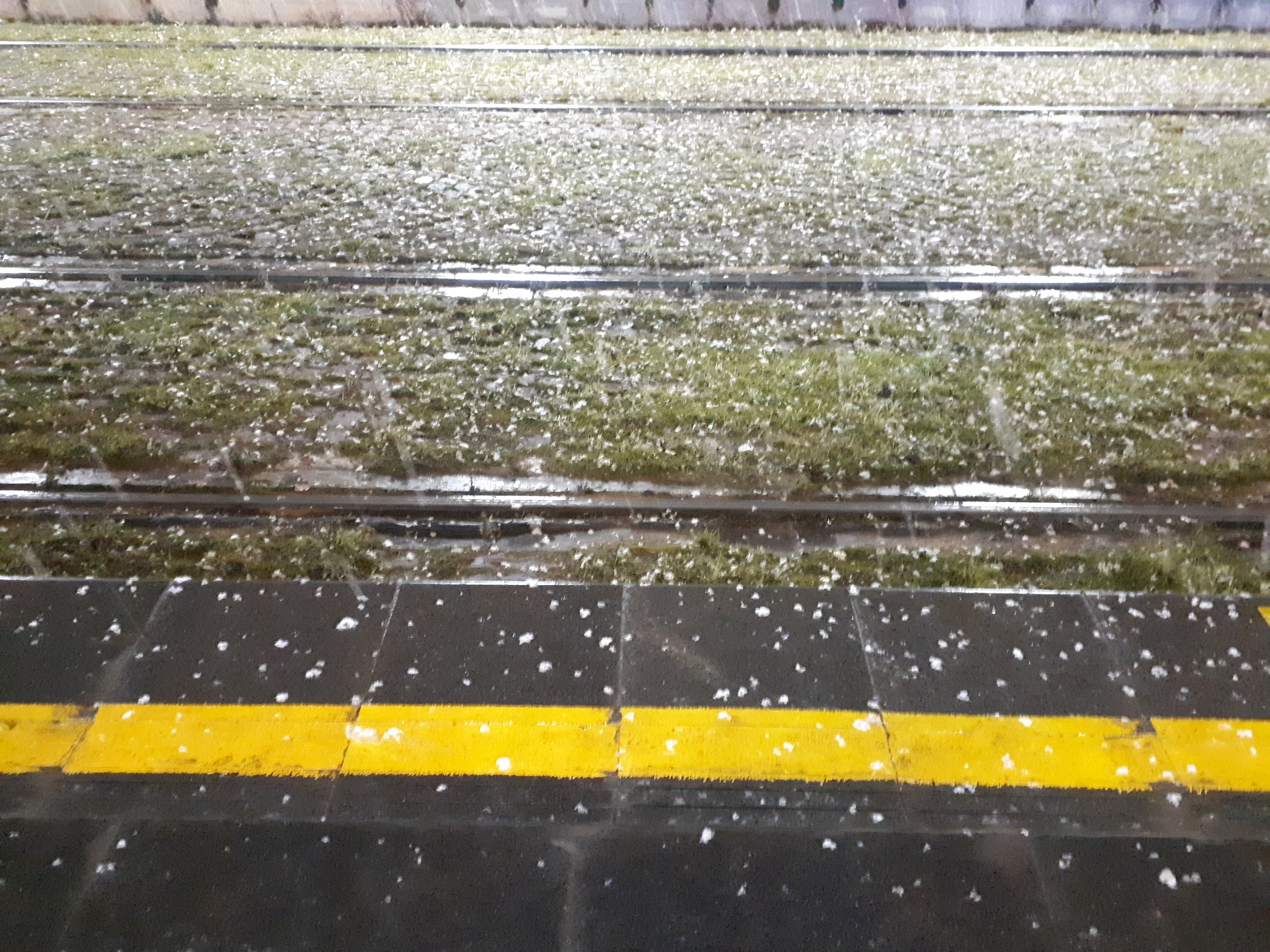 20220119_201227.jpg