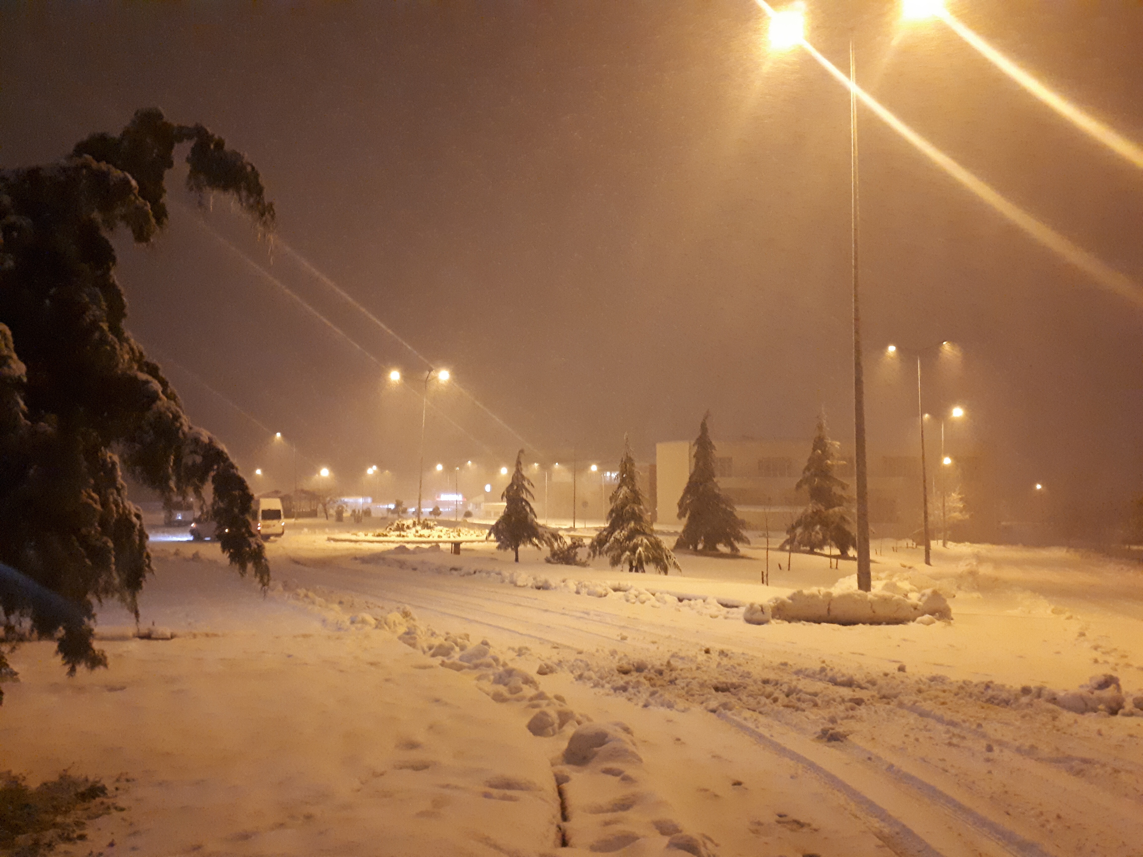 20220123_184725.jpg