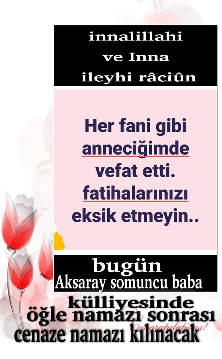 FB_IMG_1644295826489.jpg