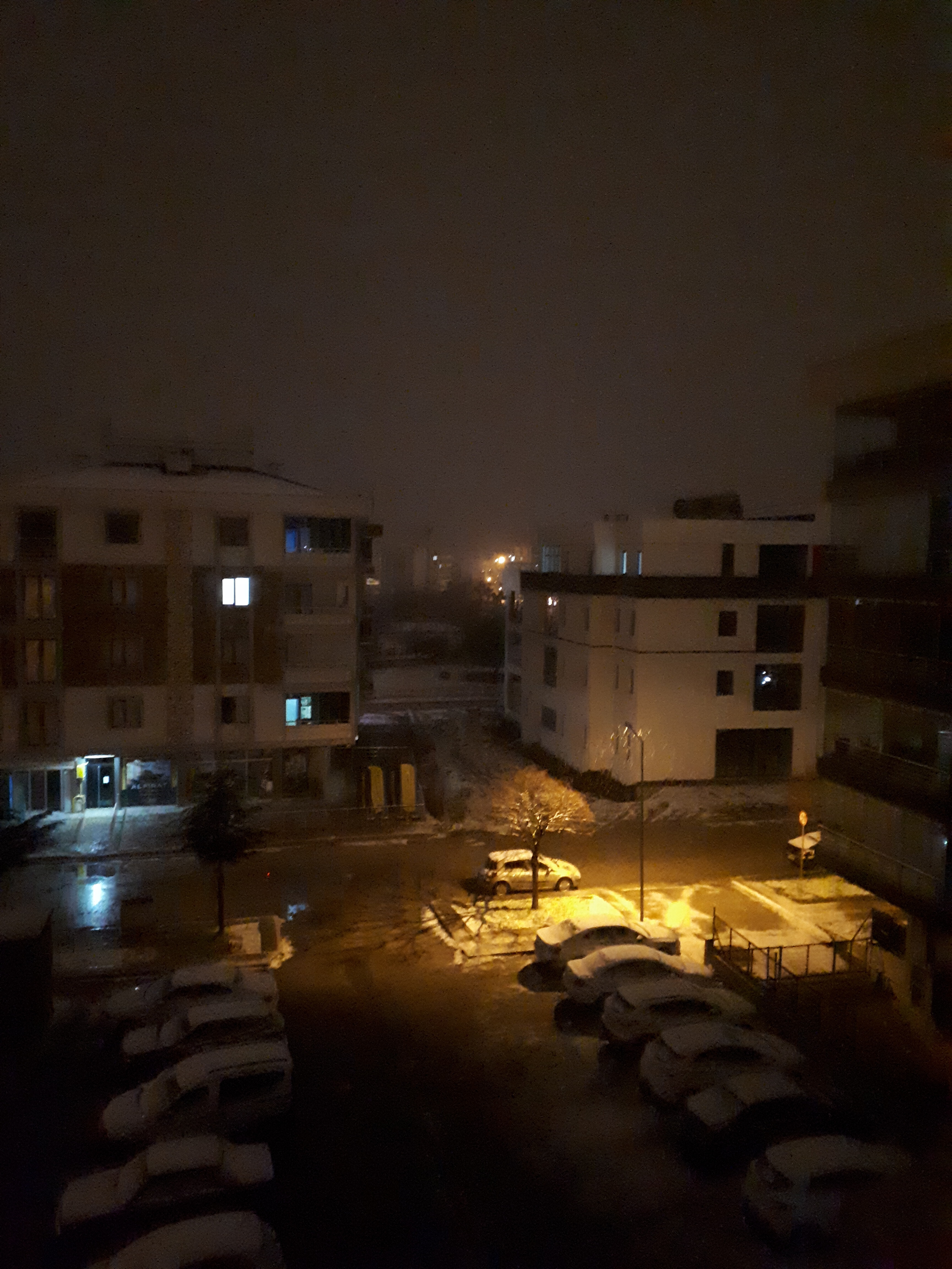 20220317_234801.jpg