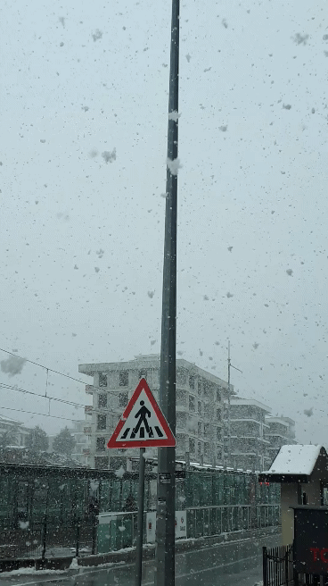 20220318_121603_1.gif