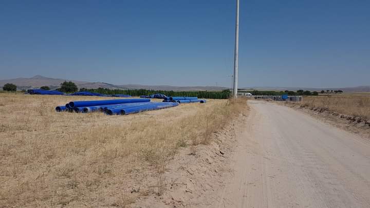 FB_IMG_1659609511004.jpg