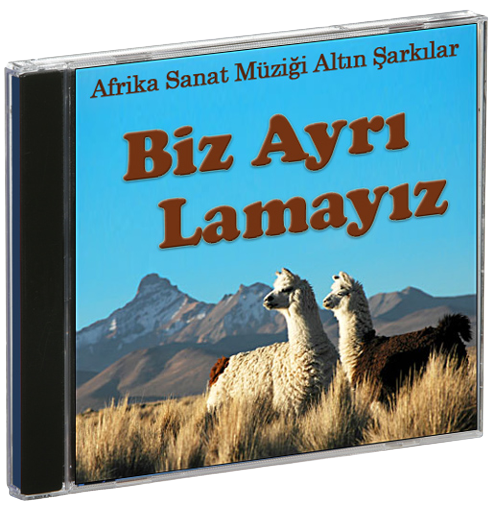 �u anki ruh haliniz nedir?