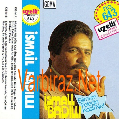 Ismail-Badilli---Bilmem-Felegin-Kasti-Ne-Uzelli-643.jpg