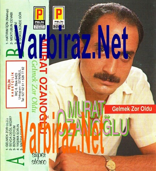 Murat-Ozanoglu---Gelmek-Zor-Oldu-Pelin-Kasetcilik-120.jpg