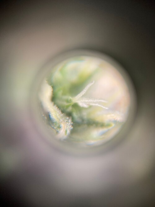 2a4cd3aa-4362-43fa-a094-0b4cb29fd4e5