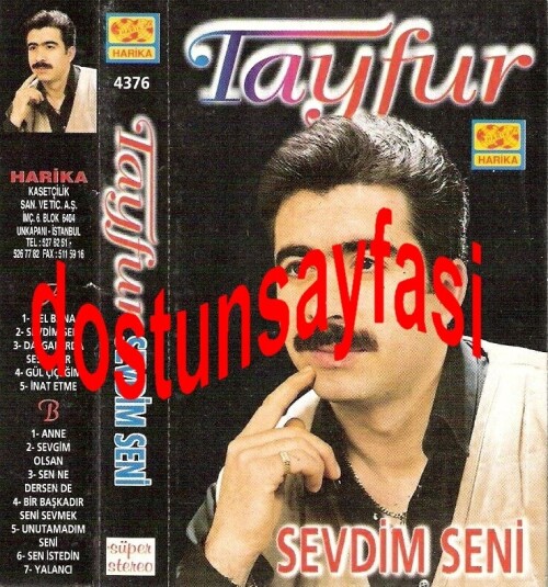 Tayfur---Sevdim-Seni-Harika-4376.jpg