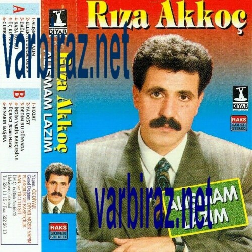 Riza-Akkoc---Alismam-Lazim-Diyar-Muzik-Yapim-006.jpg