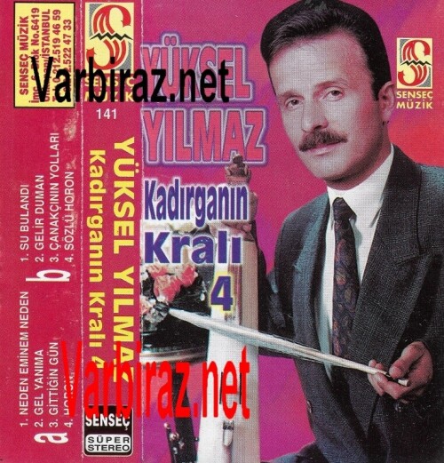 Yuksel-Yilmaz---Kadirganin-Krali-4-Sensec-Muzik-Yapim-141.jpg
