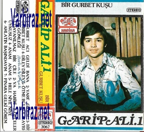 Garip-Ali-1---Bir-Gurbet-Kusu-Harika-3067.jpg