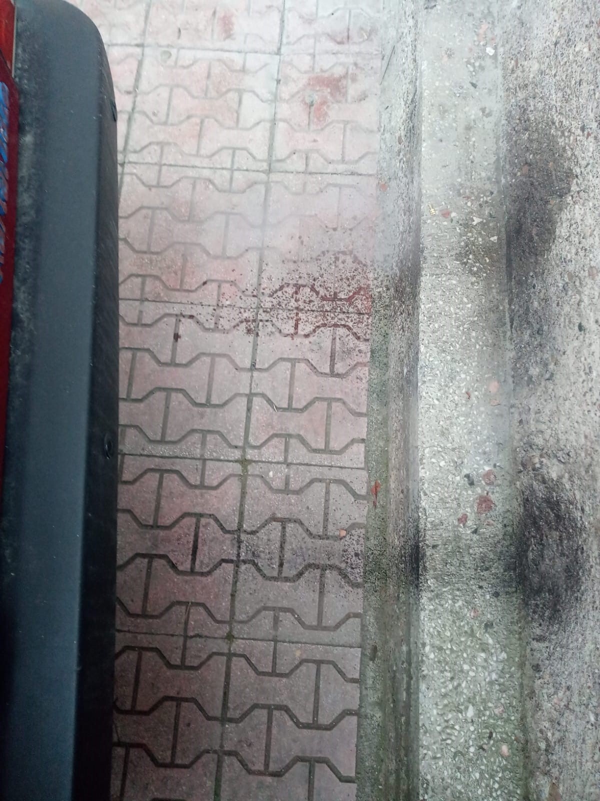 [Resim: WhatsApp-Image-2024-02-08-at-09.33.43.jpg]