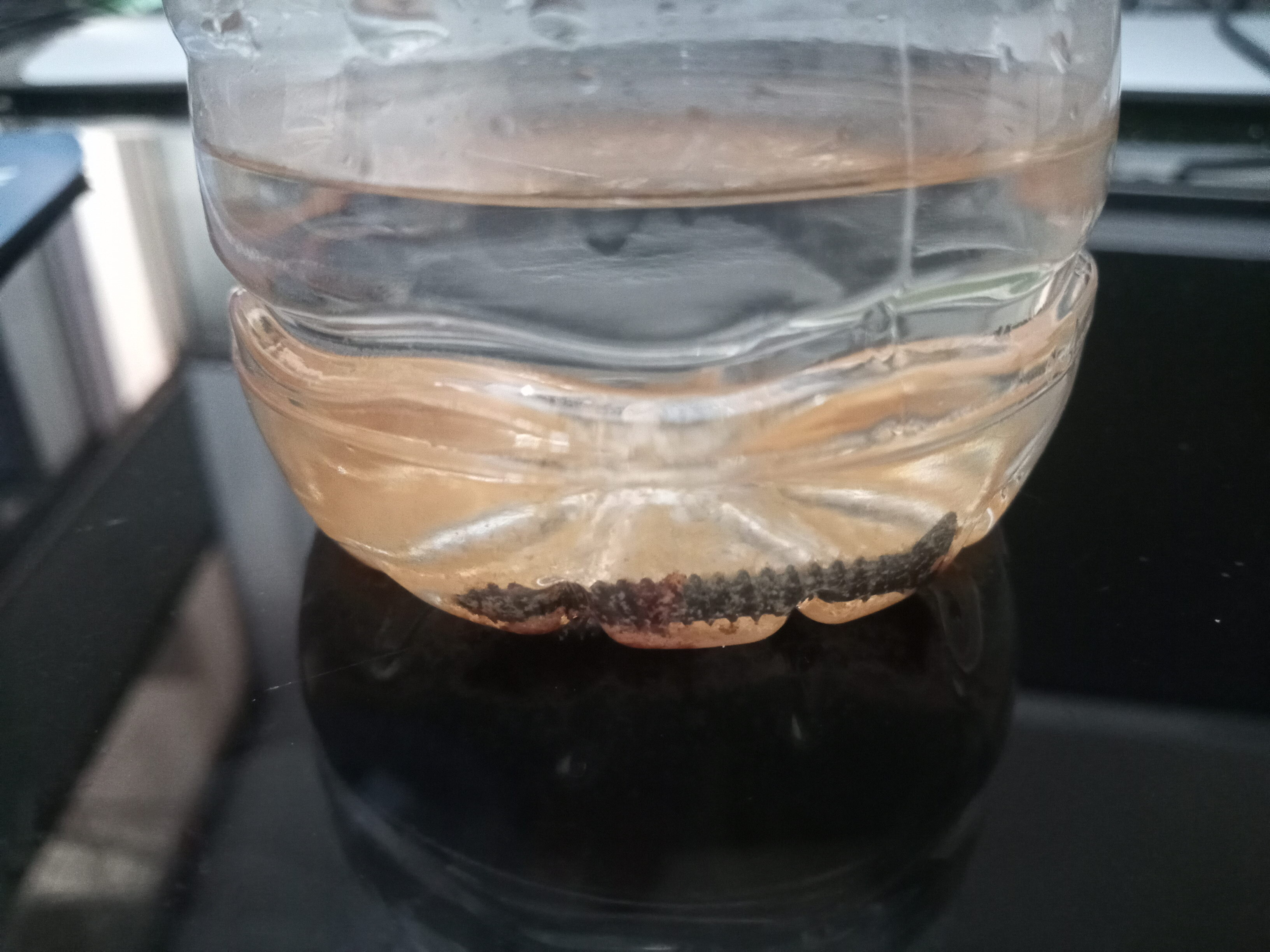 [Resim: IMG_20240201_155307_8.jpg]