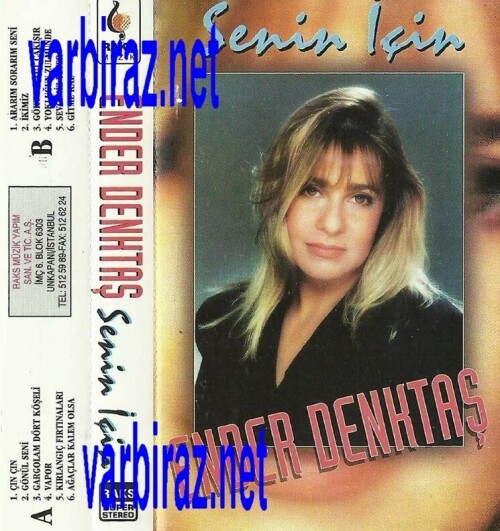 Ender-Denktas---Senin-Icin-Raks-Muzik.jpg