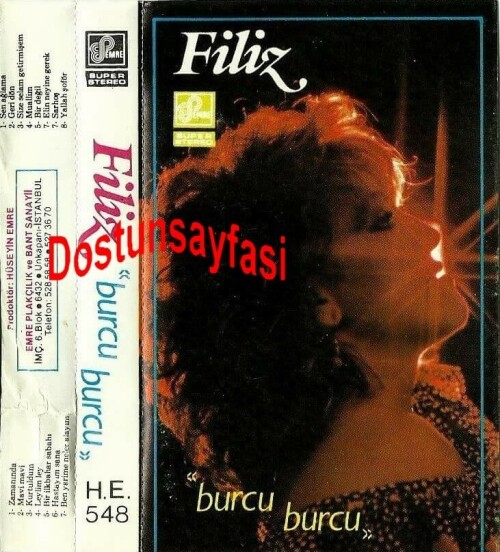 Filiz---Burcu-Burcu-Emre-H.E-548.jpg
