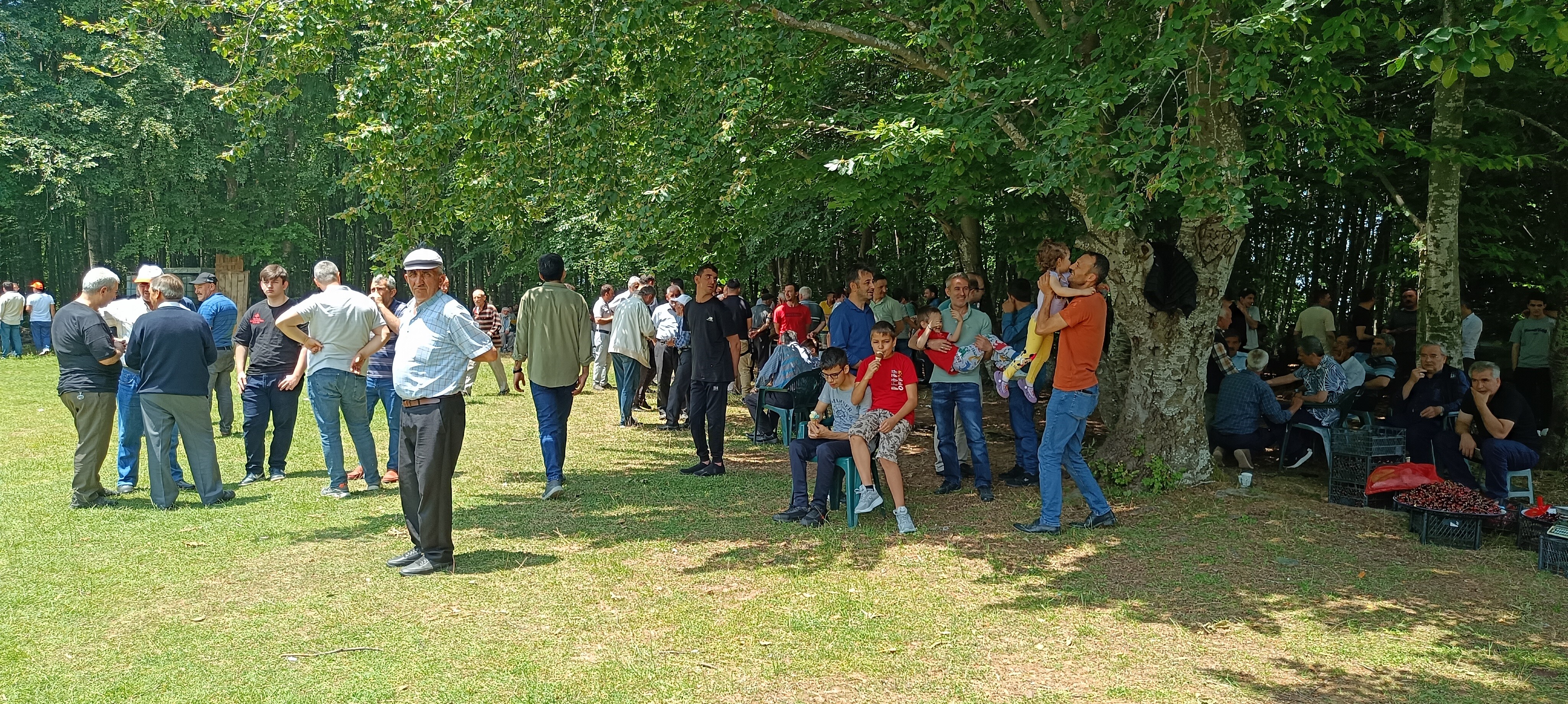 IMG_20240602_123901.jpg